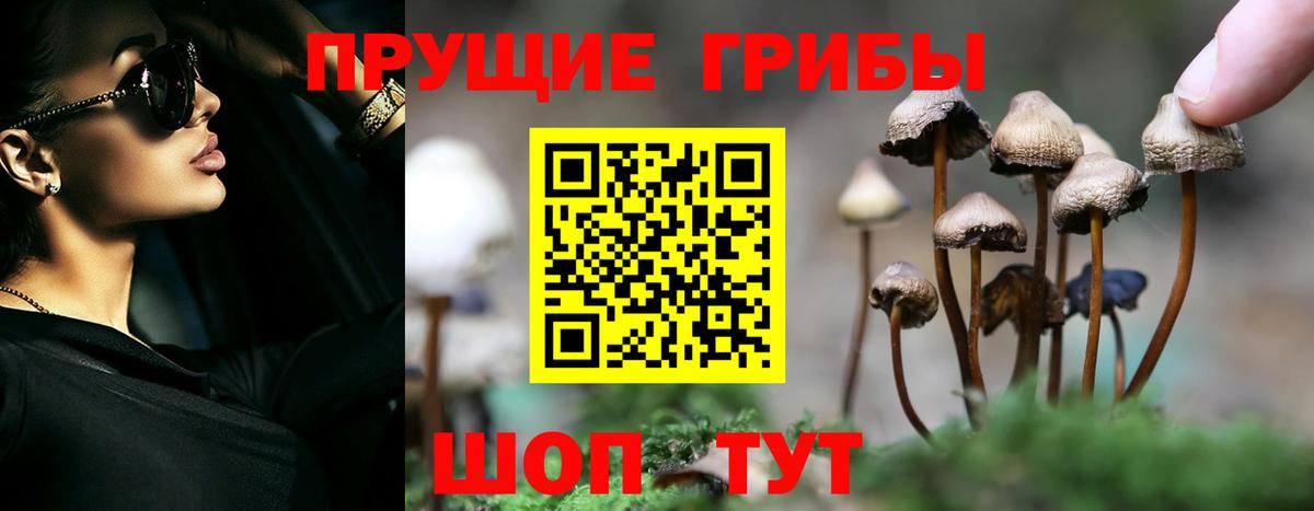 Тара  магазин    Вход с VPN  Галлюциногенные грибы мухоморы 